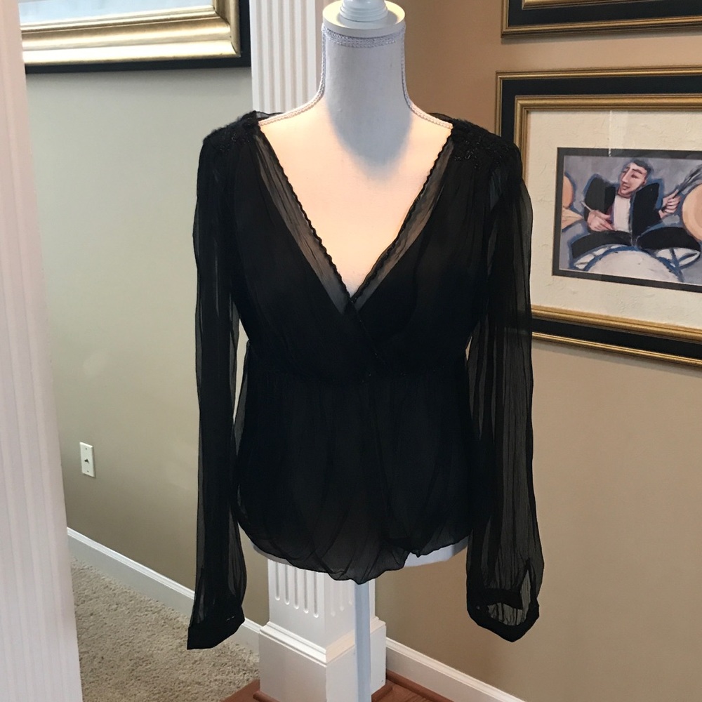 Gorgeous Max Studio Sheer Blouse